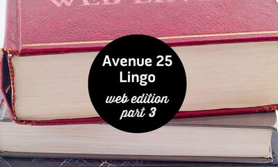 Web Lingo 3
