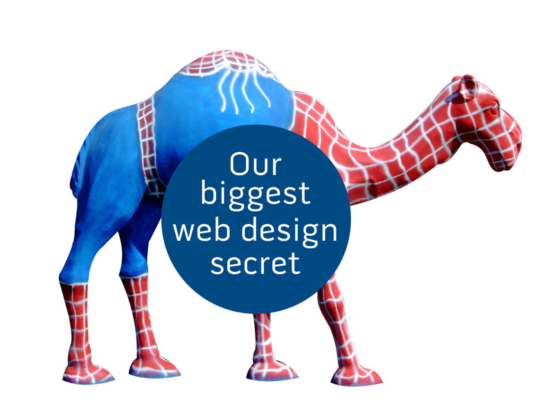 Our Biggest Web Design Secret