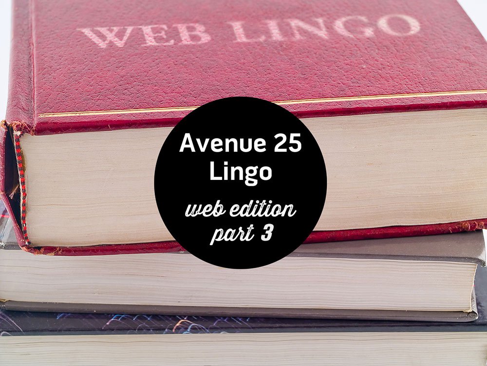 Web Lingo 3