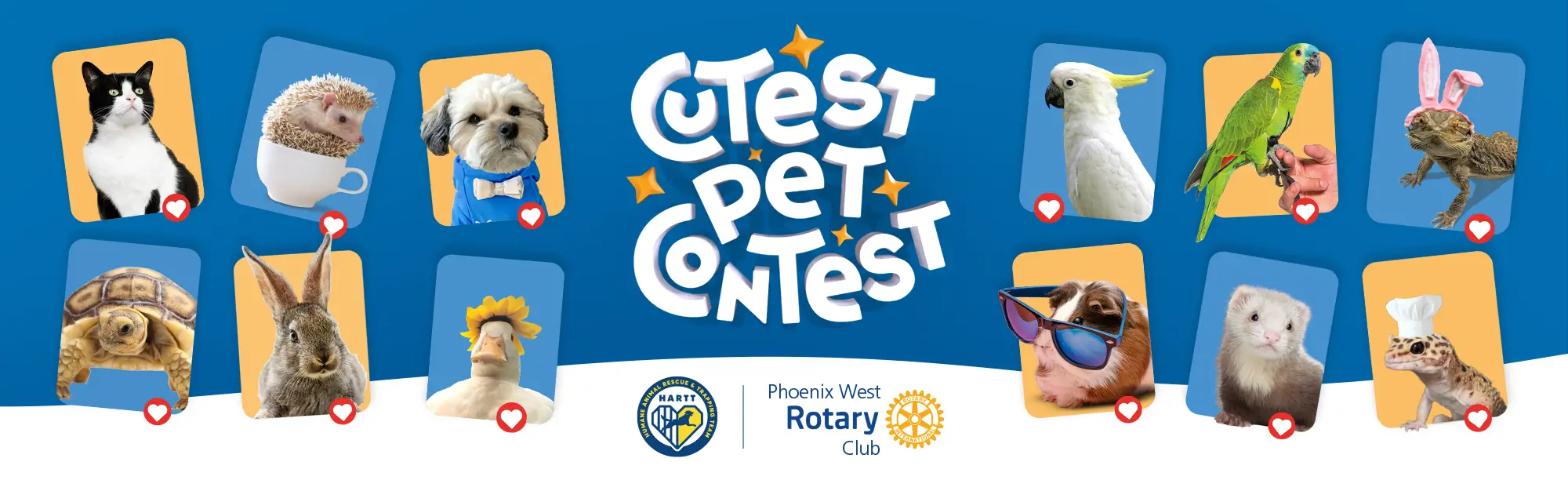 Cutest Pet Contest